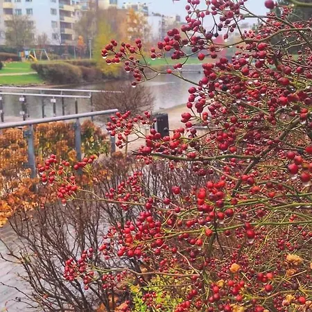 M&r Airport&business Premium Marina Mokotow - Parking - Wifi - Netflix - Self Check-in, Terrace - Guarded Estate - Waw Chopin Airport *